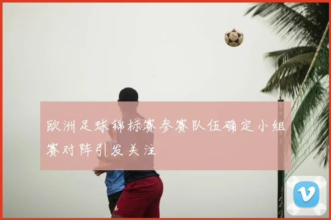 欧洲足球锦标赛参赛队伍确定小组赛对阵引发关注