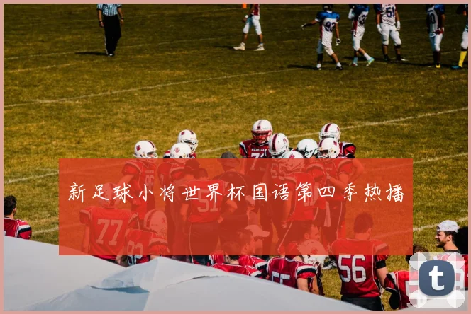新足球小将世界杯国语第四季热播