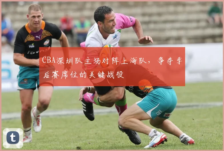 CBA深圳队主场对阵上海队，争夺季后赛席位的关键战役