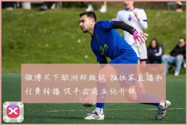 微博买下欧洲杯版权 推独家直播和付费转播 促平台商业化升级