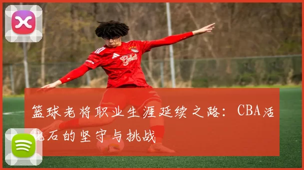 篮球老将职业生涯延续之路：CBA活化石的坚守与挑战