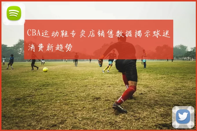CBA运动鞋专卖店销售数据揭示球迷消费新趋势